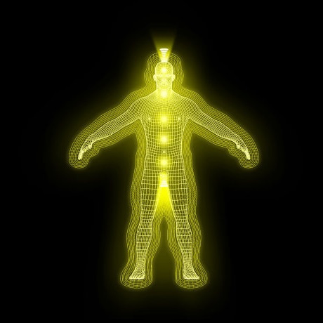 Multidimensional Body-Complex (1): Single Complex