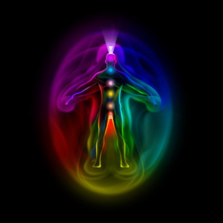 Multidimensional Body-Complex (1): Single Complex