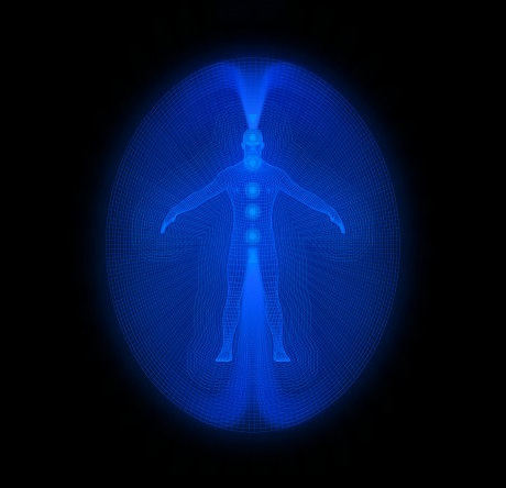 Multidimensional Body-Complex (1): Single Complex