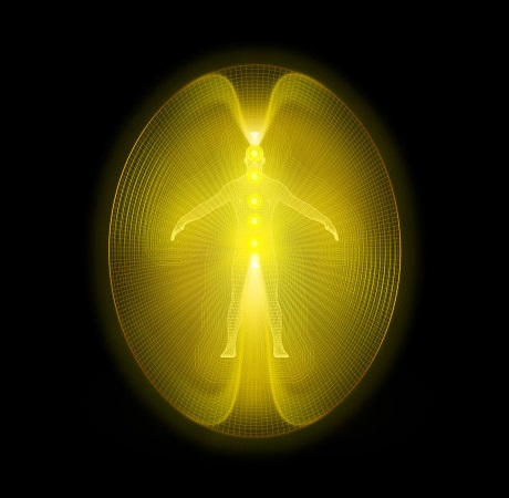 Multidimensional Body-Complex (1): Single Complex